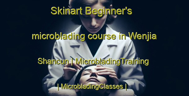 Skinart Beginner's microblading course in Wenjia Shancun | MicrobladingTraining | MicrobladingClasses | SkinartTraining-China